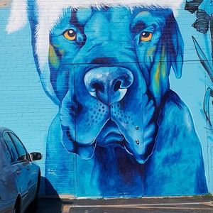 Meet your Posher, Lisandra